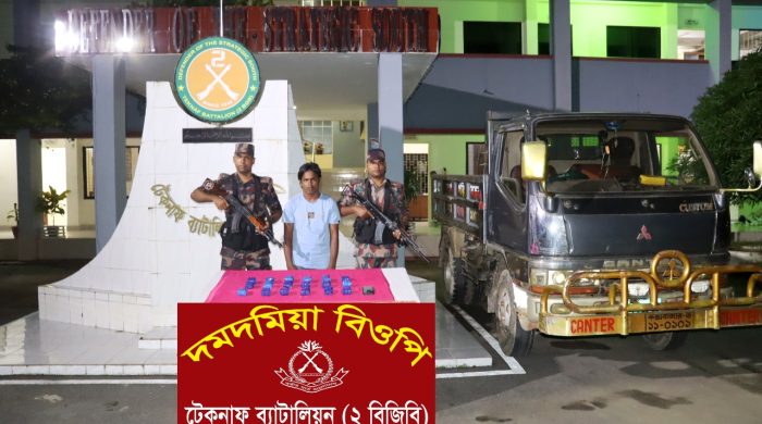 টেকনাফে বিজিবির অভিযানে ট্রাকভর্তি ১৮ হাজার ইয়াবাসহ চালক আটক