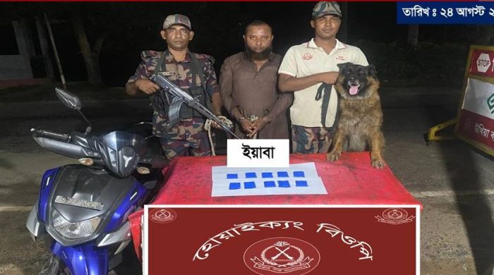টেকনাফে বিজিবির অভিযানে ২ হাজার ইয়াবাসহ আটক এক